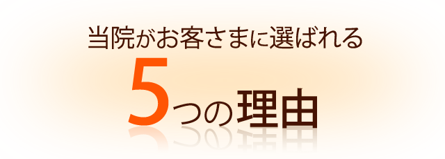 （見出し）選ばれる理由-5-orange